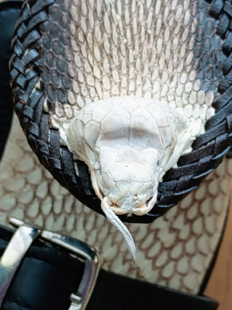 バイカーズウォレットホルダー　コブラ革ヘッド付き