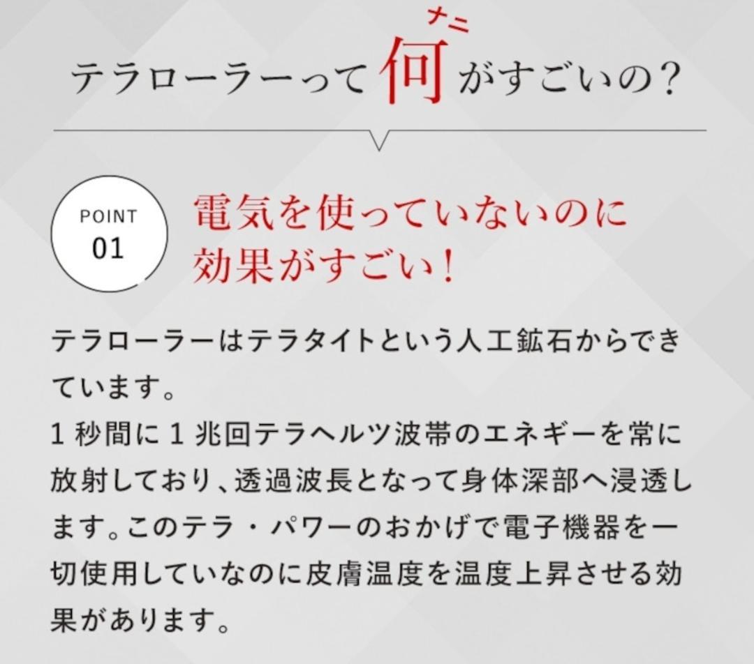 テラローラー・ミュー