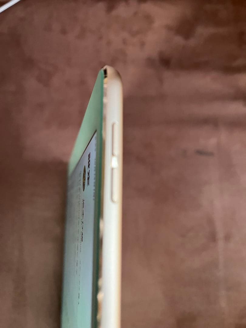 iPad pro 12.9インチ 第2世代 256GB セルラーモデル