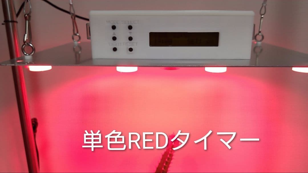 【L10W】多肉&塊根育成　水槽照明　タイマー付LEDライト（DC専用）