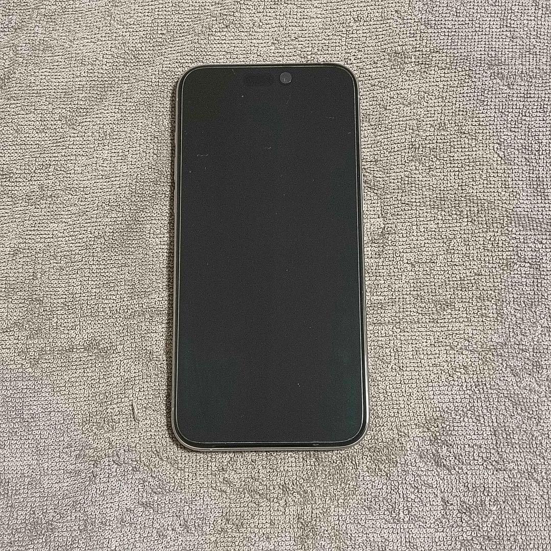 美品 ケース付き iPhone15 ProMAX 256GB ナチュラル