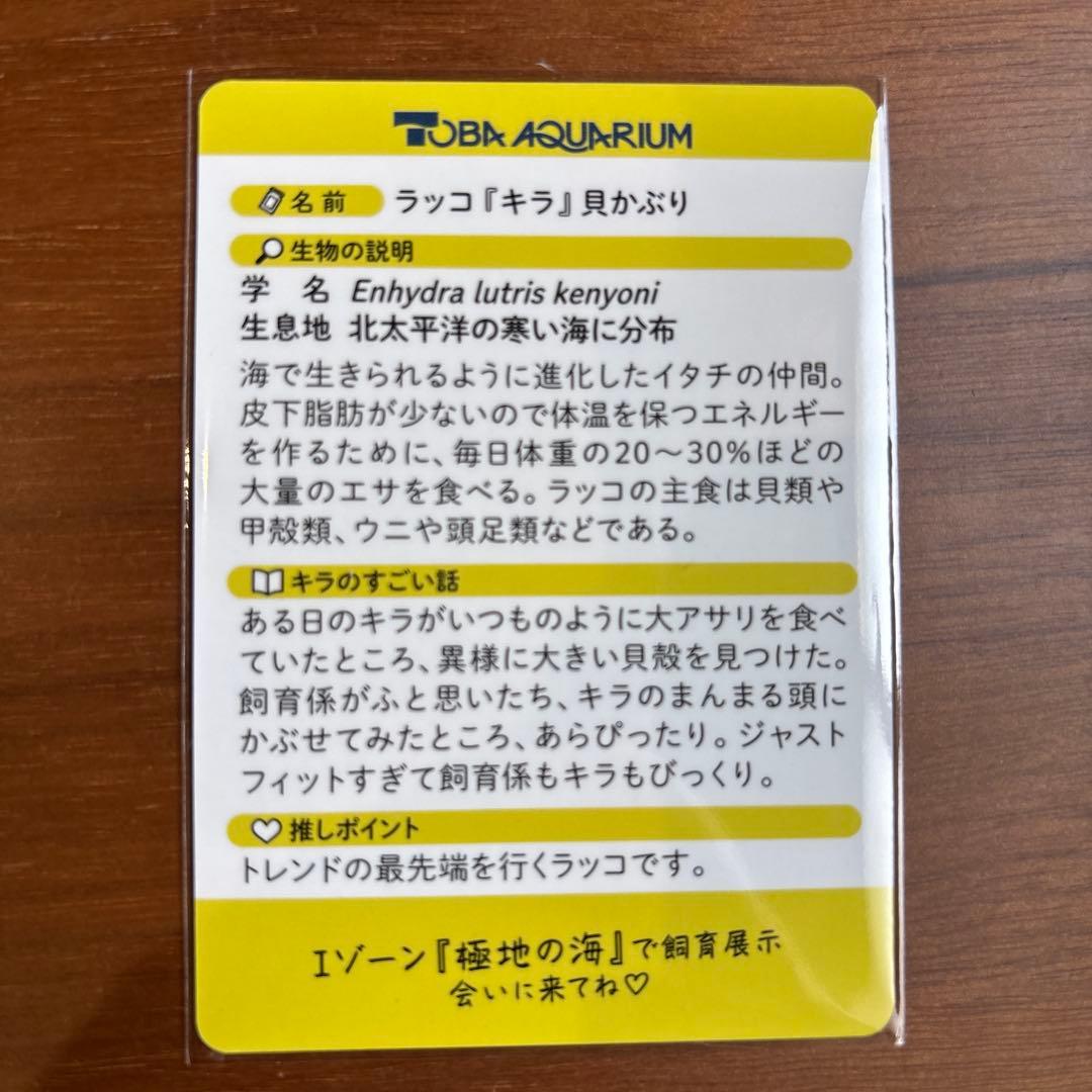 ハ*〉様 キラ レアカード 鳥羽水族館 70周年コレクションカード