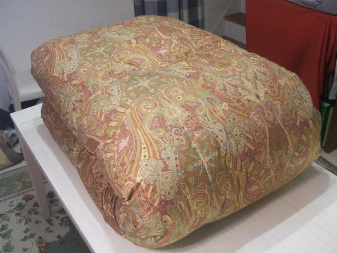 ２点ペア価格専用！新品【六つ星】ブラック ＊フランス９５％＊二層式高級羽毛布団