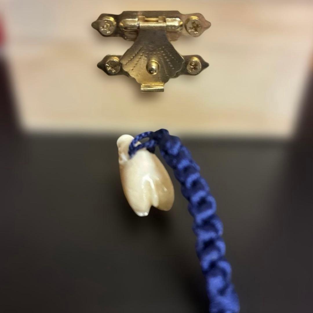 【作家物 白全】白珊瑚 根付 猪（亥）彫刻 縁起物　珊瑚　チャーム　ストラップ