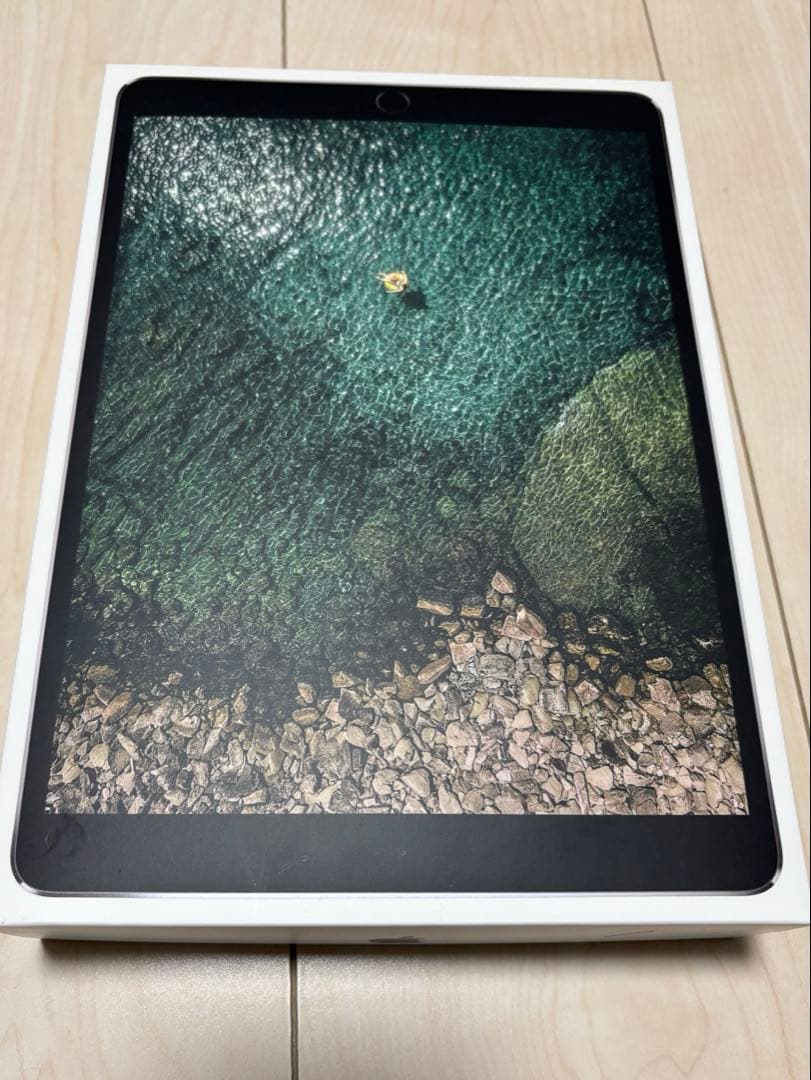 【120Hz高精細】iPad Pro 10.5 64GB スペースグレイ
