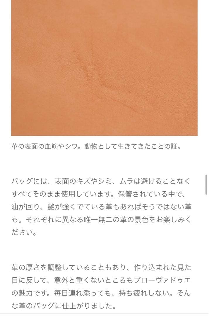 genten ゲンテン　プローヴァドゥエ　2wayバック25周年記念バッグ