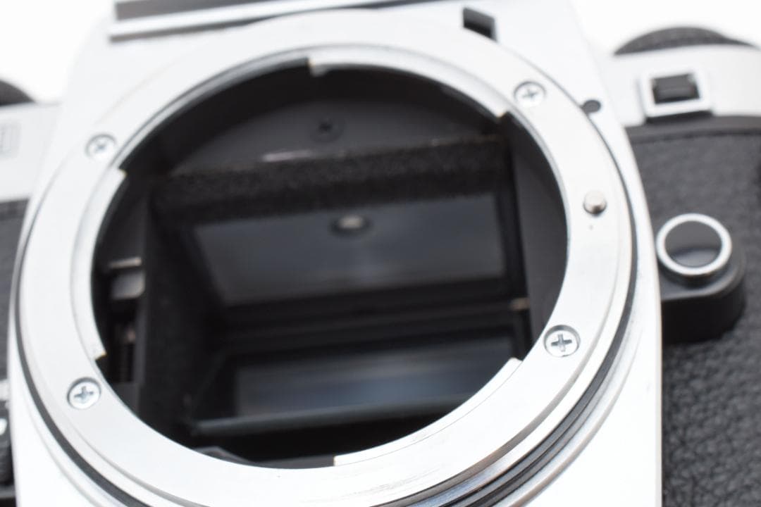 超美品　ニコン FG-20 シルバー フィルムカメラ モルト新品交換済 M117