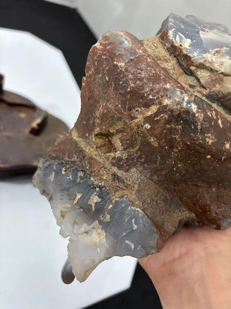 瑪瑙 双虎彫刻置物 希少 中国