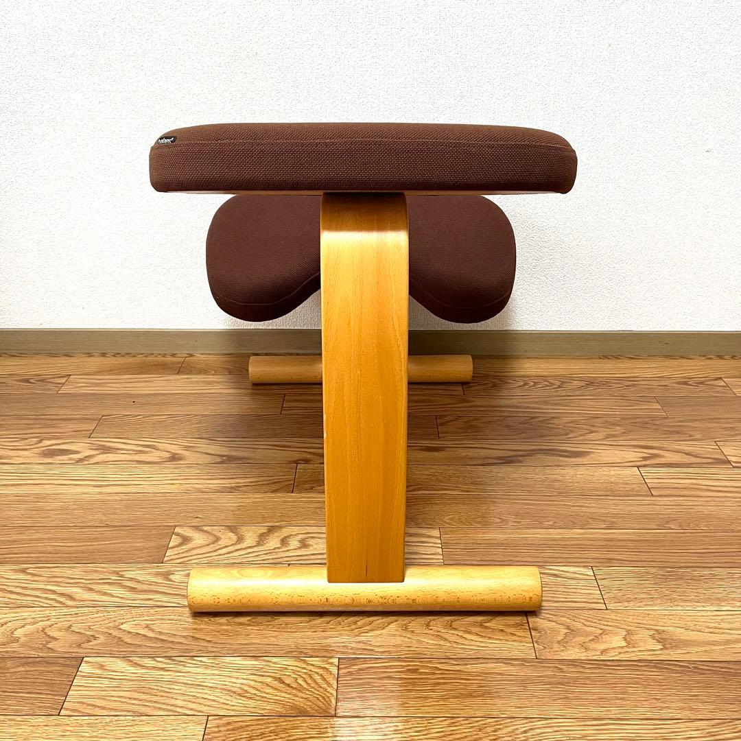 バランスラボ サカモトハウス バランスイージー ブラウン リボ