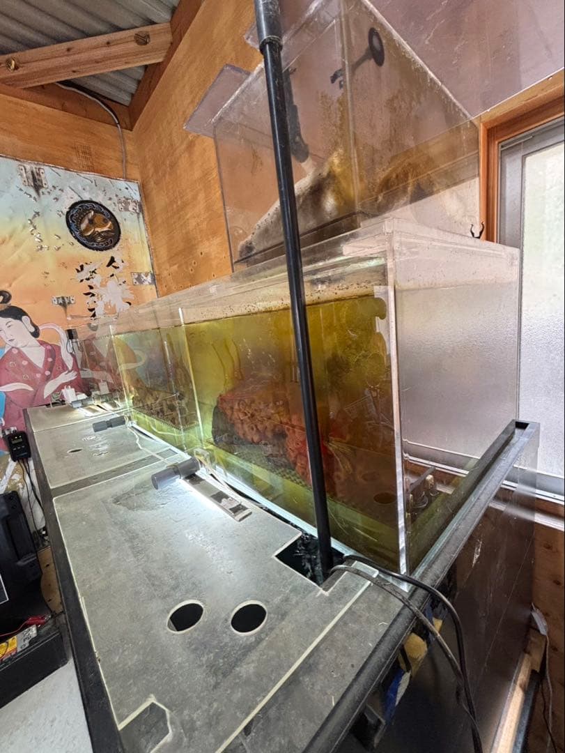 大型水槽セット