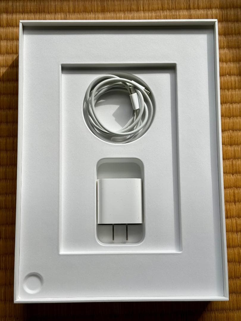 iPad Air (第4世代) Wi-Fi 256GB スカイブルー SKF付属