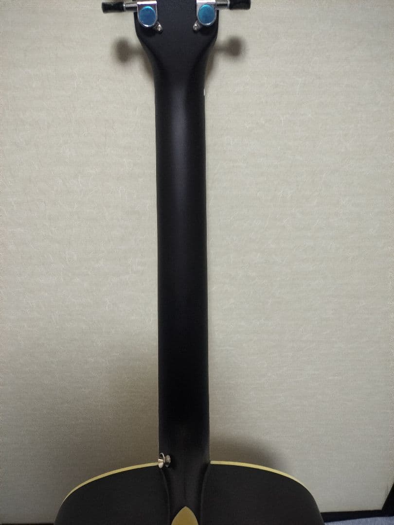 島村楽器 アコースティックギター 初心者向け Soldin SFG-15