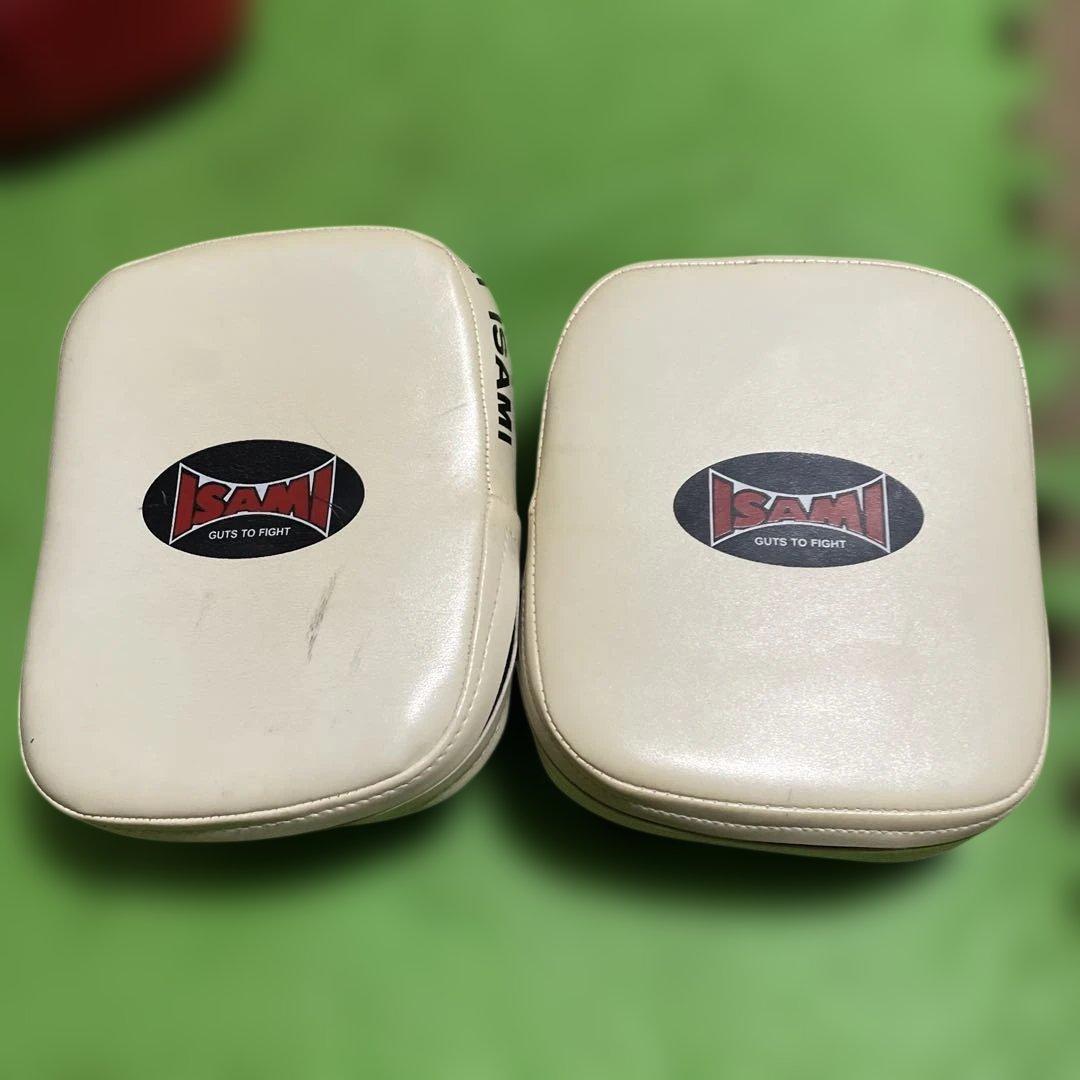 最終価格　windy本革キックミットL、イサミパンチングミット