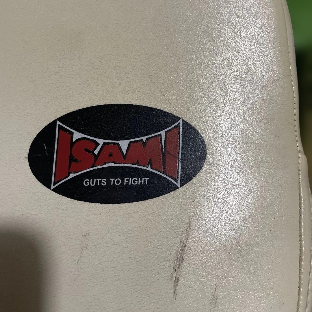 最終価格　windy本革キックミットL、イサミパンチングミット