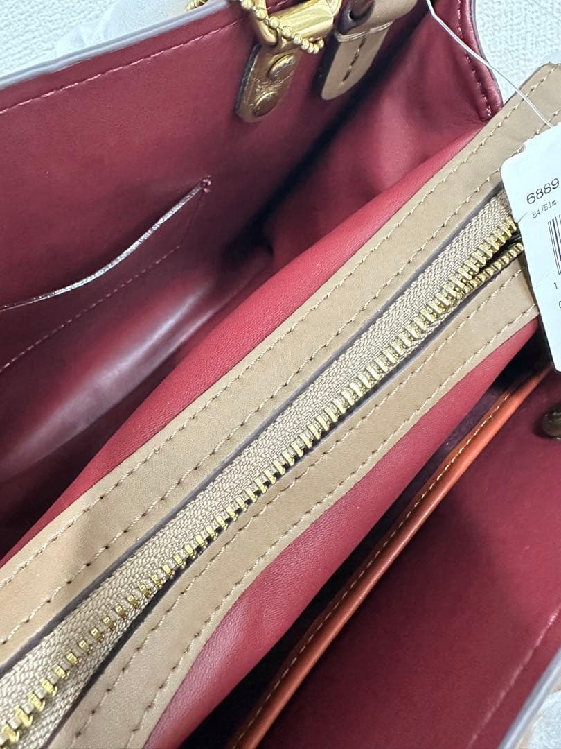 Pokimane COACH コーチバスキア コラボ 恐竜 ハンドバッグ