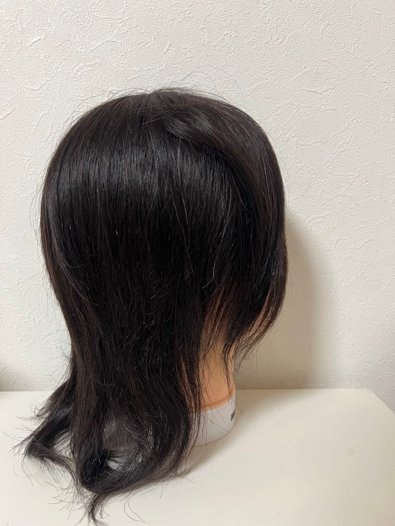 練習用カットウィッグ3体