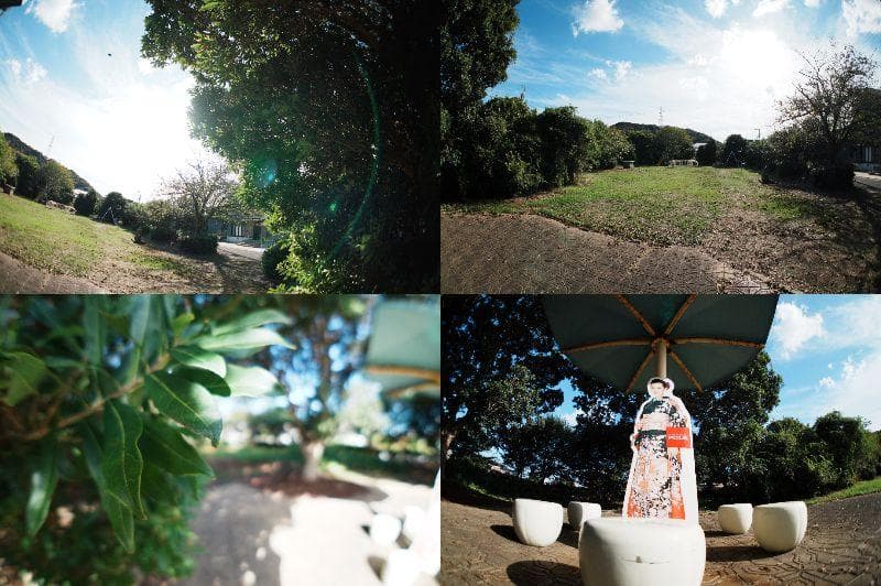 超広角＆魚眼セット　SONY SEL16F28+ワイド、フィッシュコンバーター