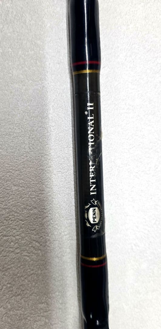 ペン　インターナショナル2　ロッド 80lb