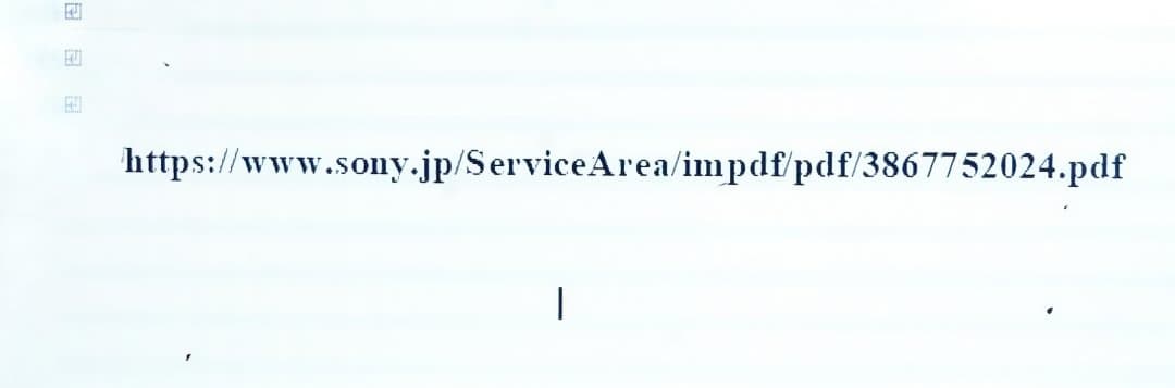 SONY miniDV DCR-PC100 ビデオカメラ本体付属品 [動作品]