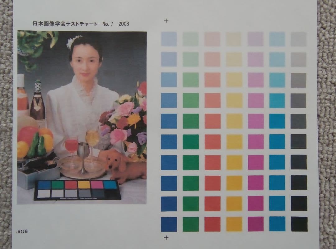 CANON PIXUS iP110 モバイルプリンタ バッテリー2個付き