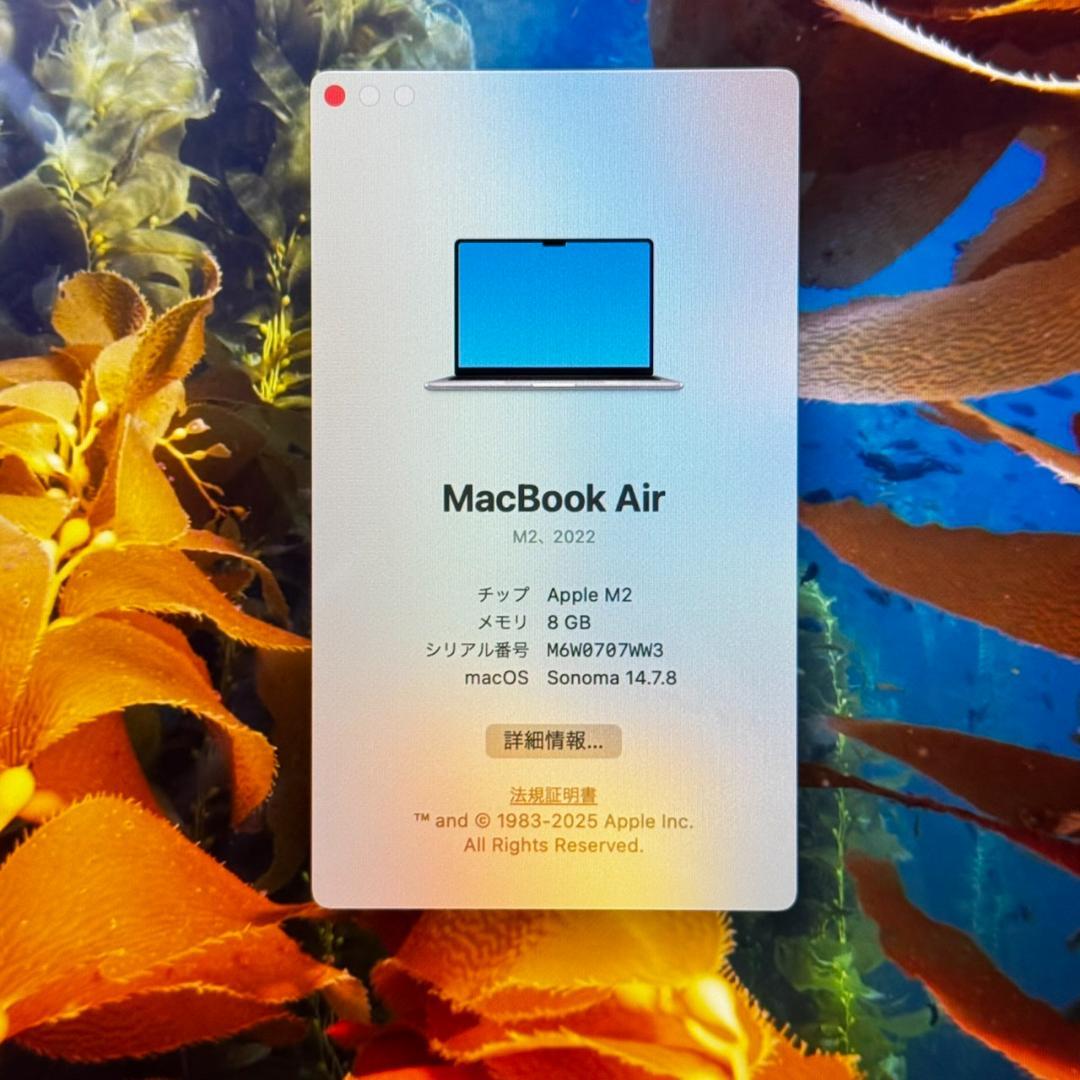 MacBook本体 P202 MacBookAir M2 8GB 256GB 13inch
