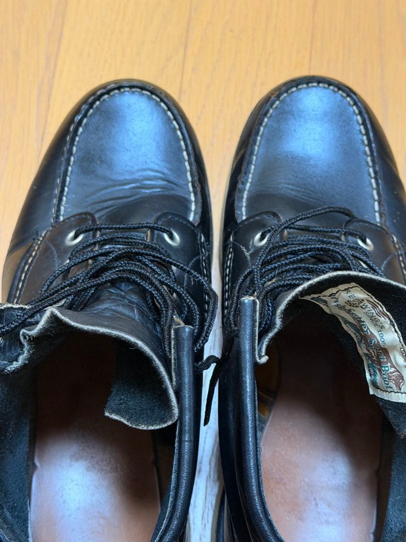 Do-san専用 綺麗なアイリッシュセッター 27.5