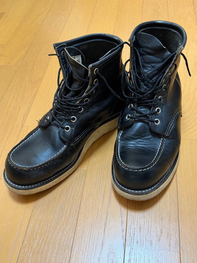 Do-san専用 綺麗なアイリッシュセッター 27.5