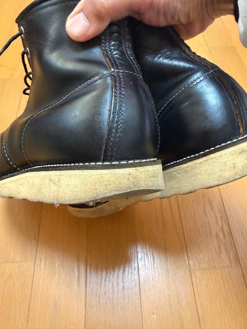 Do-san専用 綺麗なアイリッシュセッター 27.5