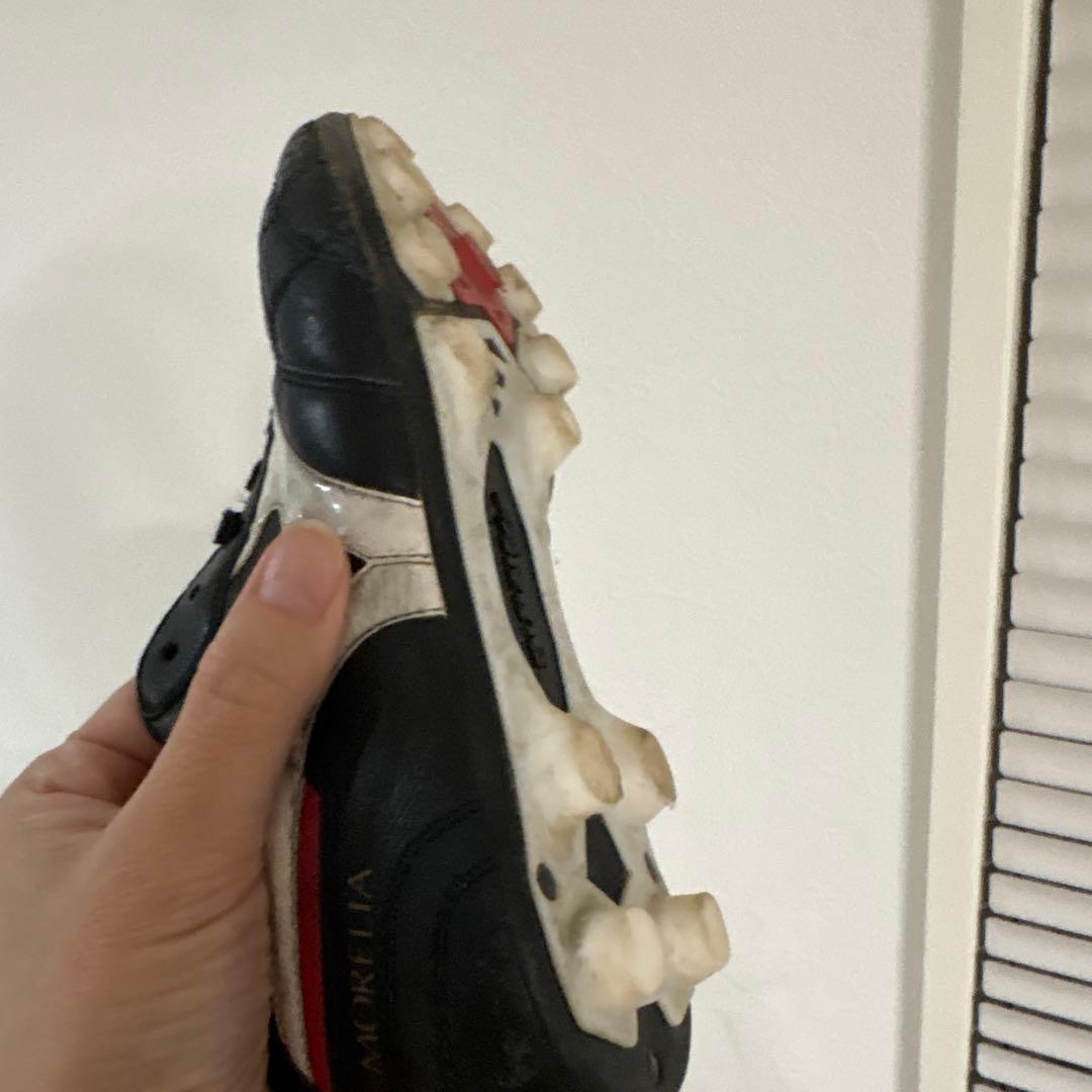 モレリア2 23 ㎝