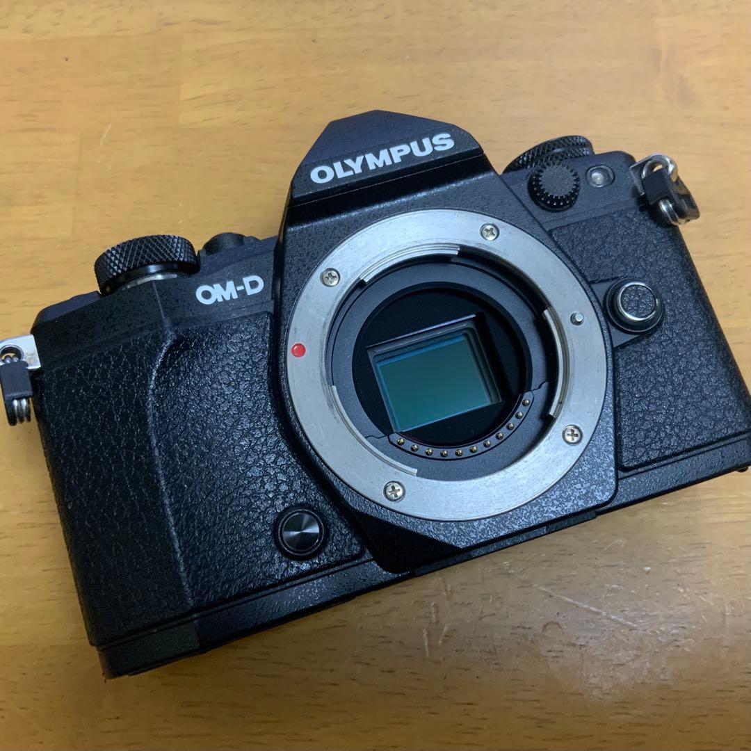 H*I様 <美品> OLYMPUS E-M5 Mark II 【値下げ予定なし】