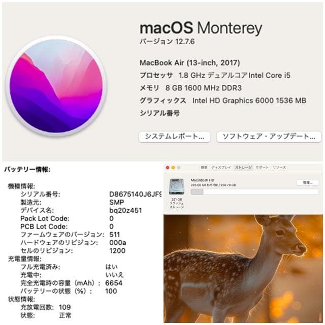 MacBook本体 MacBook Air 13_2017 i5/8GB/256GB