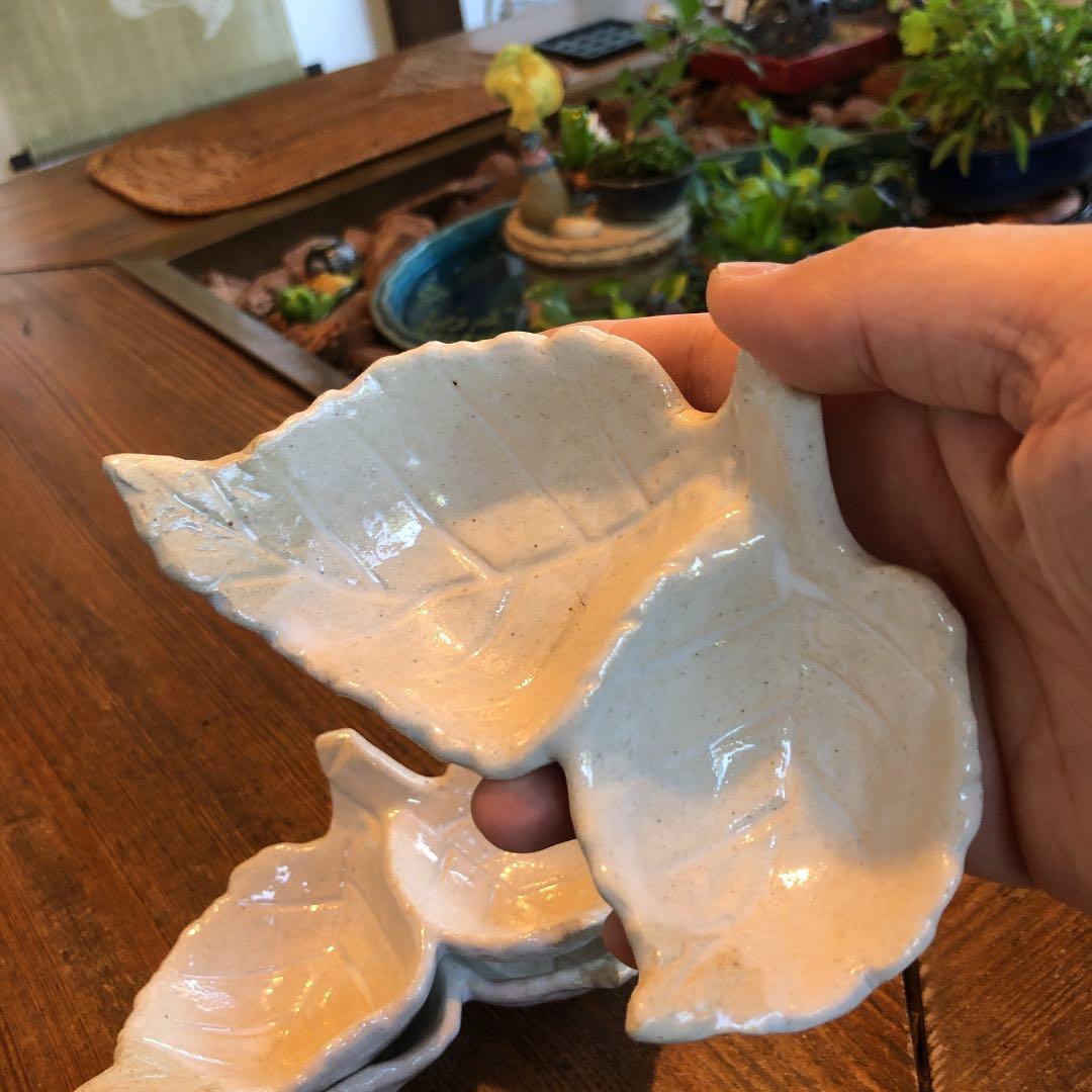 双葉の豆鉢　4つ