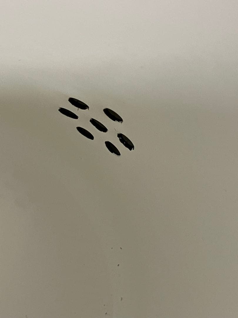 ② 協和工業 KYOWA 日本製 ホーローポット スカーレットローズ