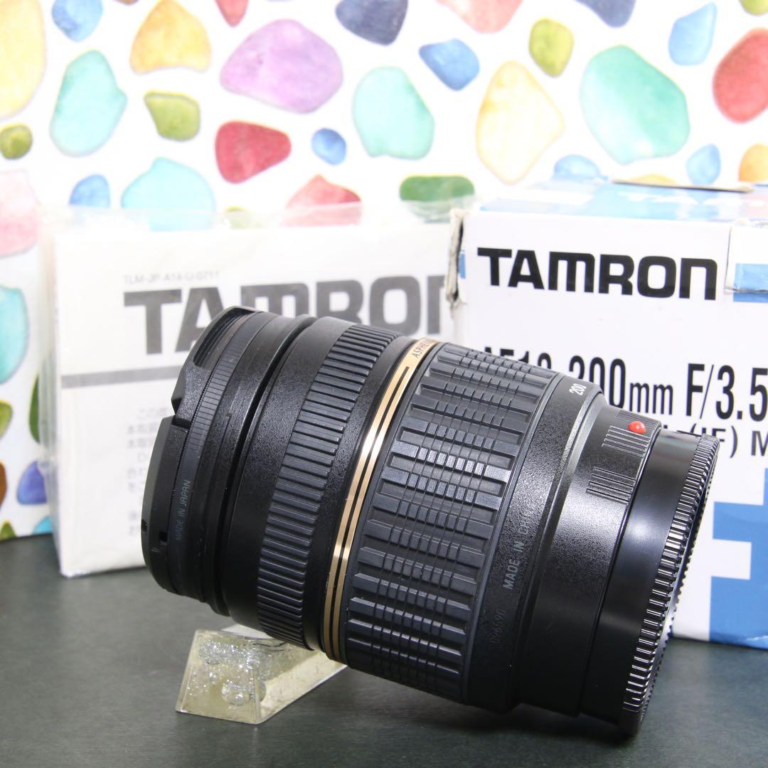 ♥︎◇広角から望遠まで ◇Tamron 18-200mm SONY