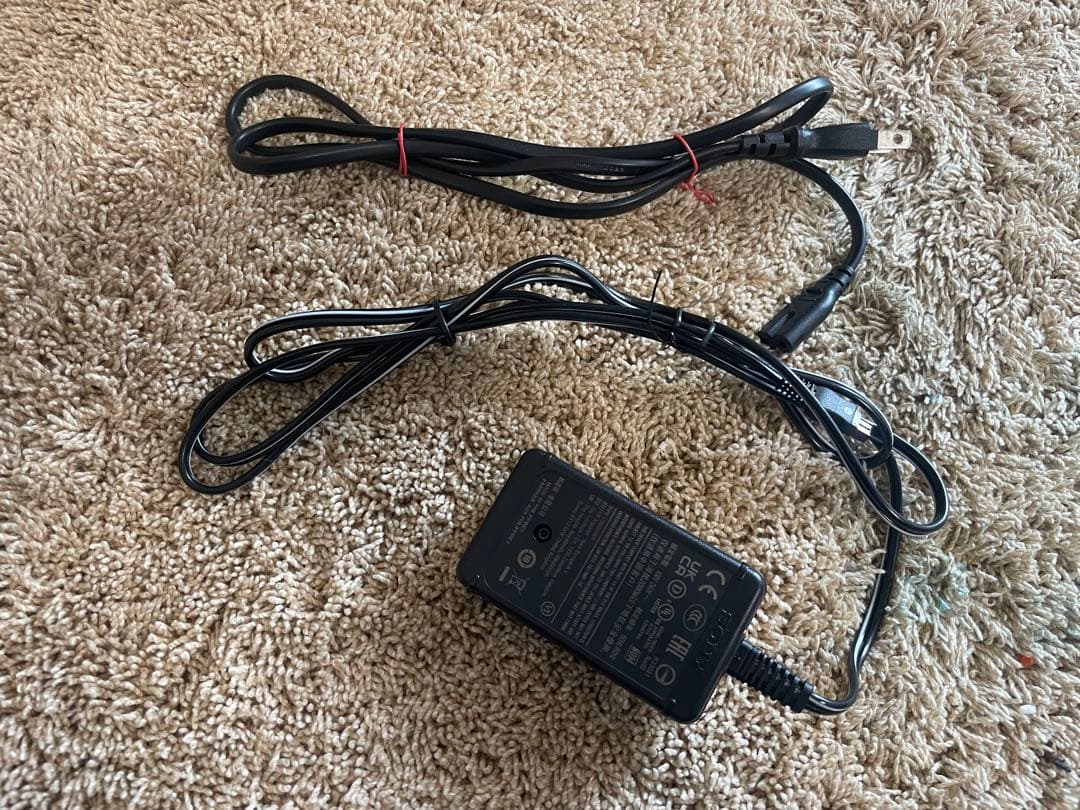 SONY FDR-AX45A 4Kビデオカメラ 本体【電源ケーブル有り】