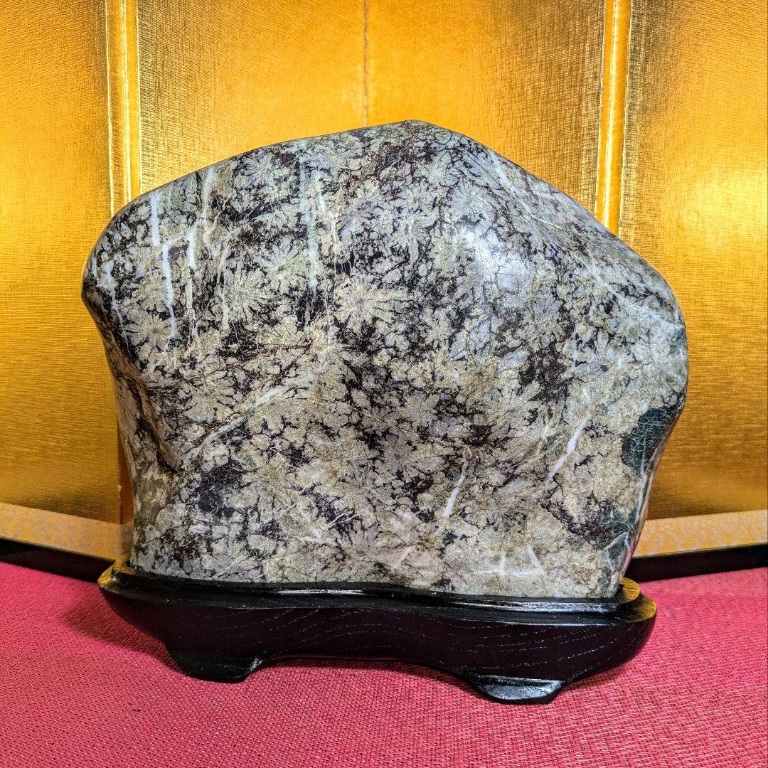 菊花石 岐阜県根尾谷産4.5㌔ 鑑賞石 観賞石 水石 盆石 天然石