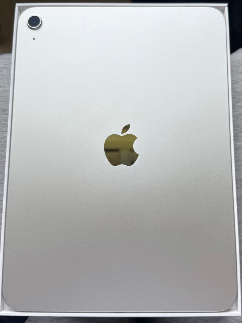 Apple iPad 11インチ(a16)シルバー 本体 充電器付き