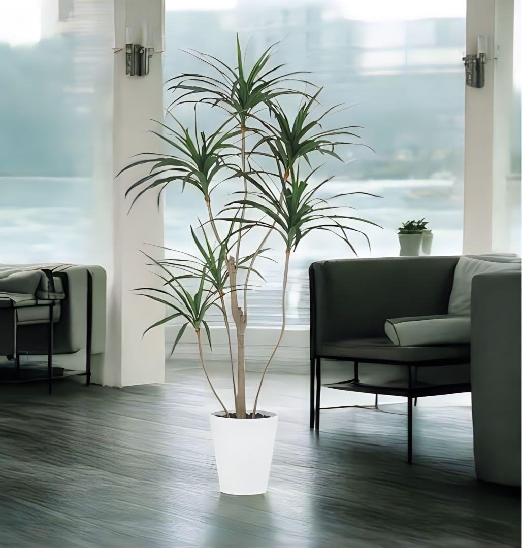 光触媒　人工観葉植物　ウォールグリーン　フェイクグリーン　東北コンシンネ180