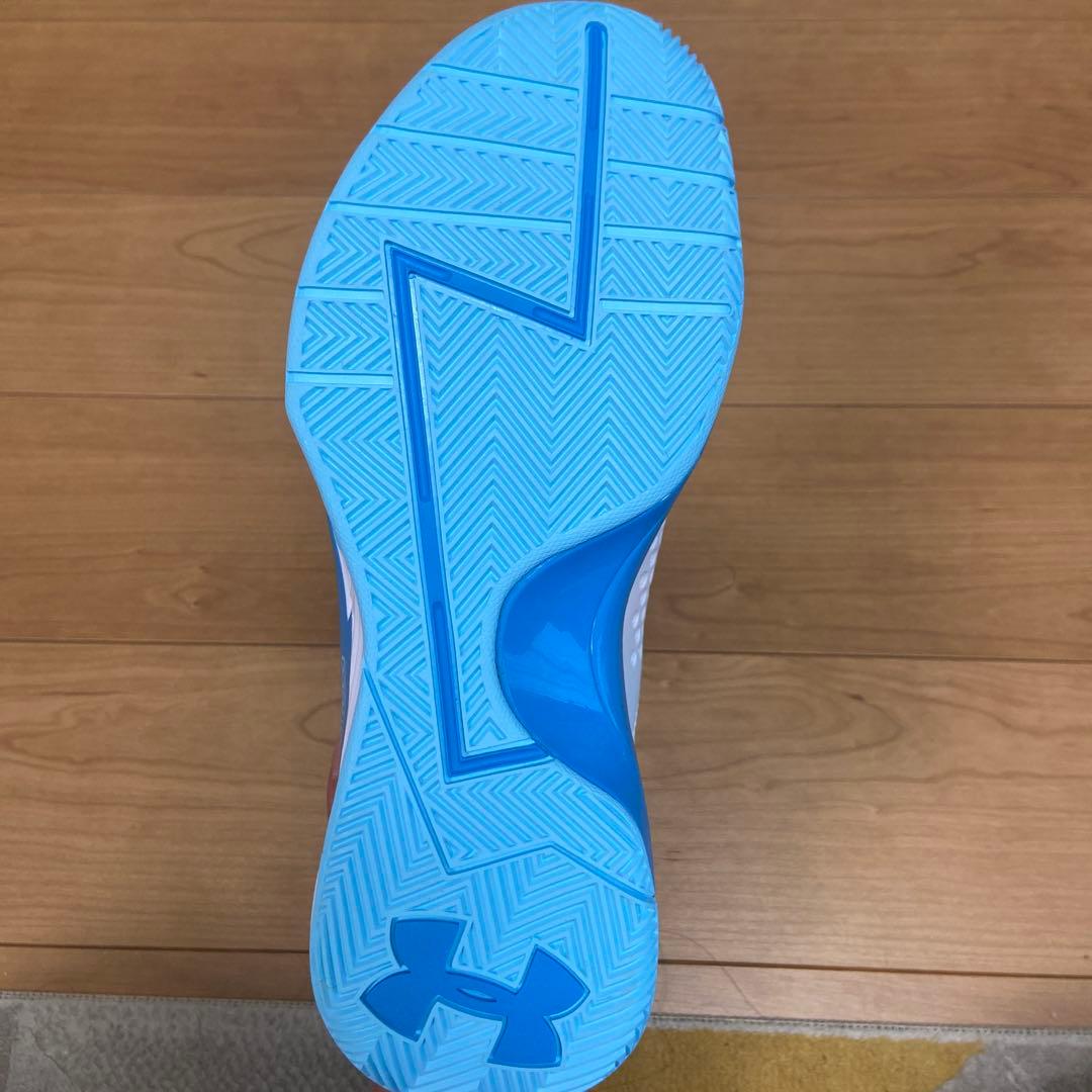 I*G様 curry1 PRNT 28cm バッシュ