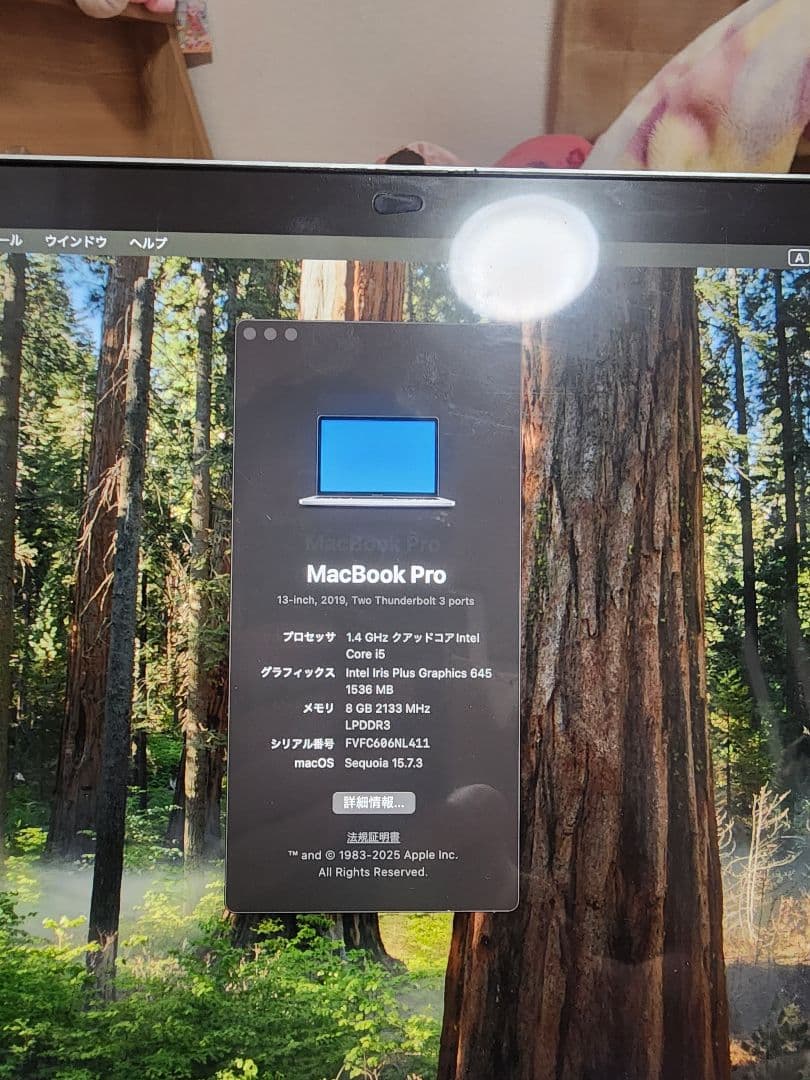 MacBook pro 13インチ 2019 Magic Mouse2