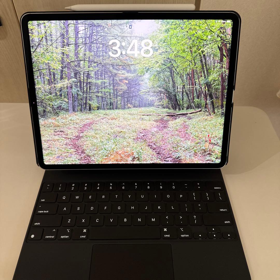 iPad本体 iPad Pro 12.9\" 512GB Gen5 SIM free cell