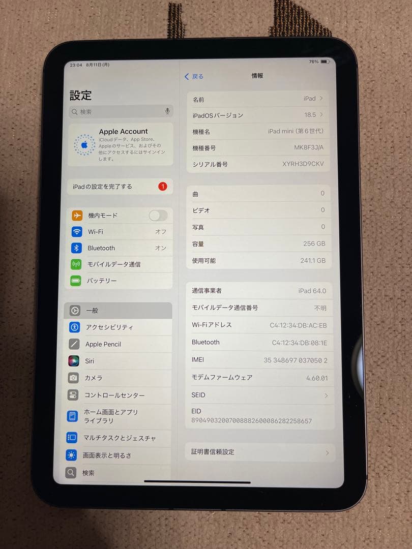 iPad mini (第6世代) 256GB SG SIMロック解除済み