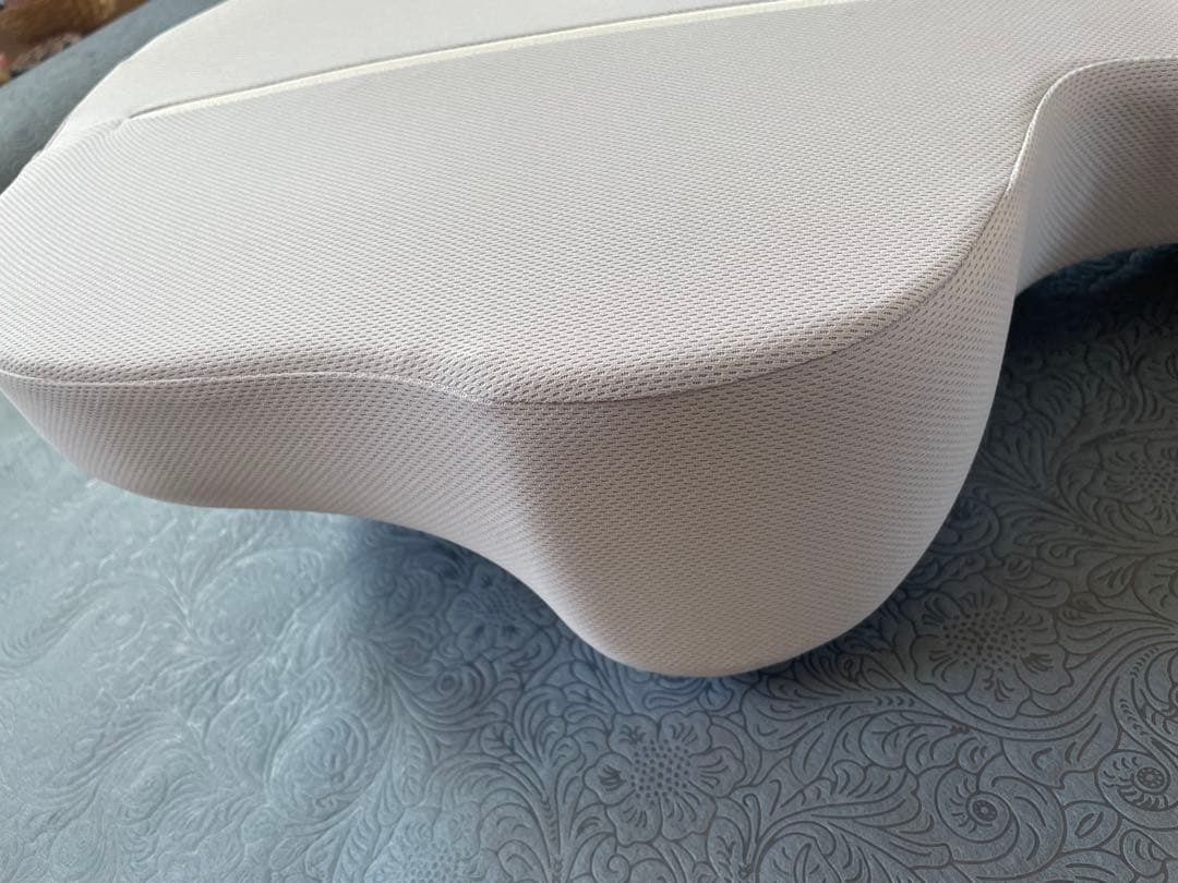 【☆姿勢改善にオススメ☆】GODCHOO PILLOW ゴッチョ背まくら