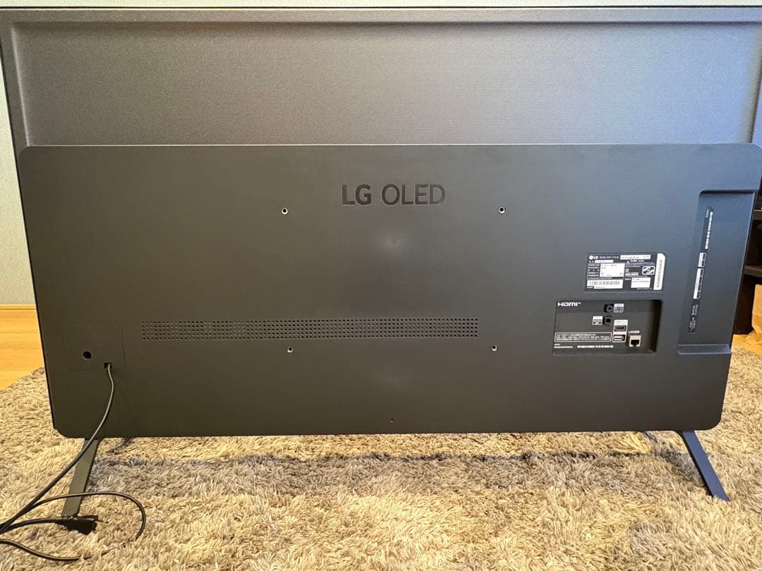 【動作確認済】LG有機EL48型 OLED48A2PJA 2022 年モデル