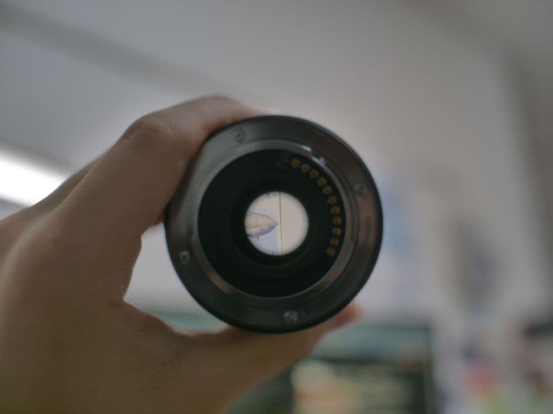 OLYMPUS 60mm f2.8 macro 中古