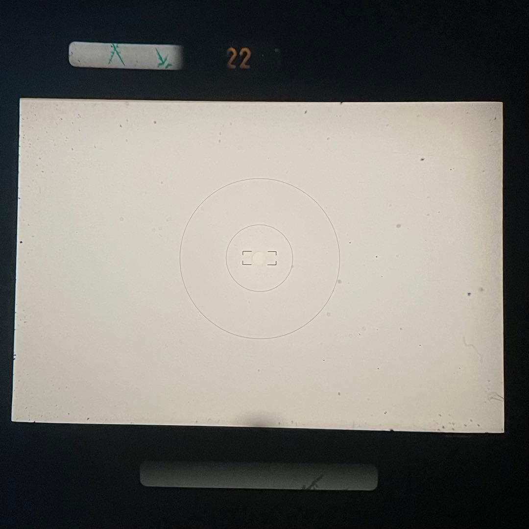 ★美品★ NIKON ニコン F4 レンズセット 動作確認済