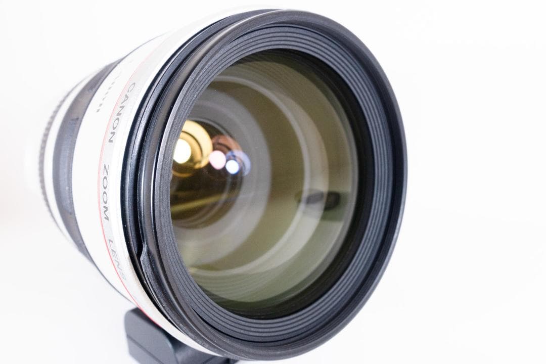 Canon EF100-400mm F4.5-5.6L IS USM ケース付き