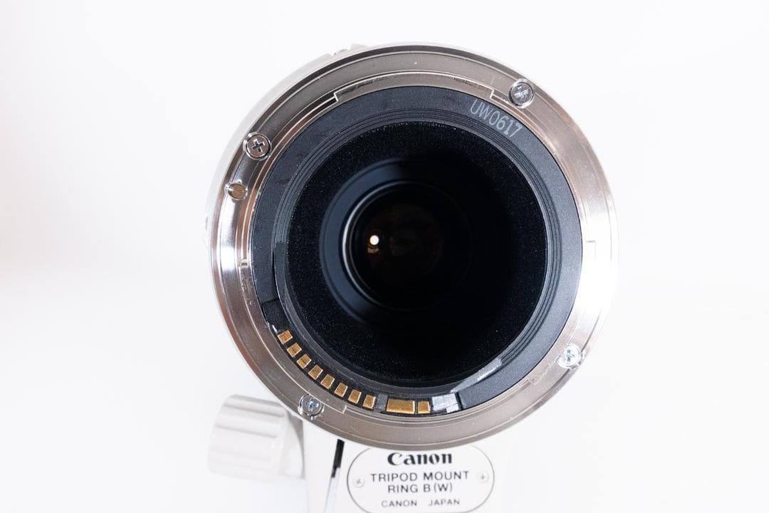 Canon EF100-400mm F4.5-5.6L IS USM ケース付き