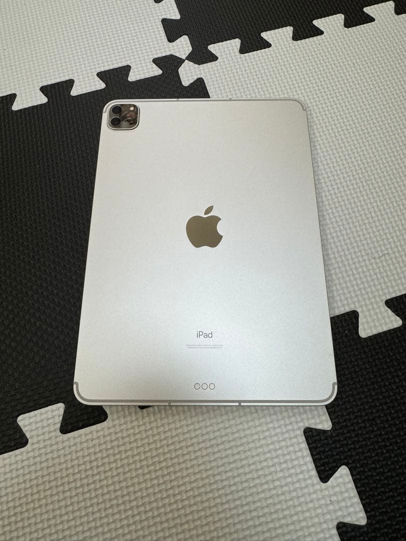 iPad pro 11インチ M1 256GB WiFi+Cellular +α