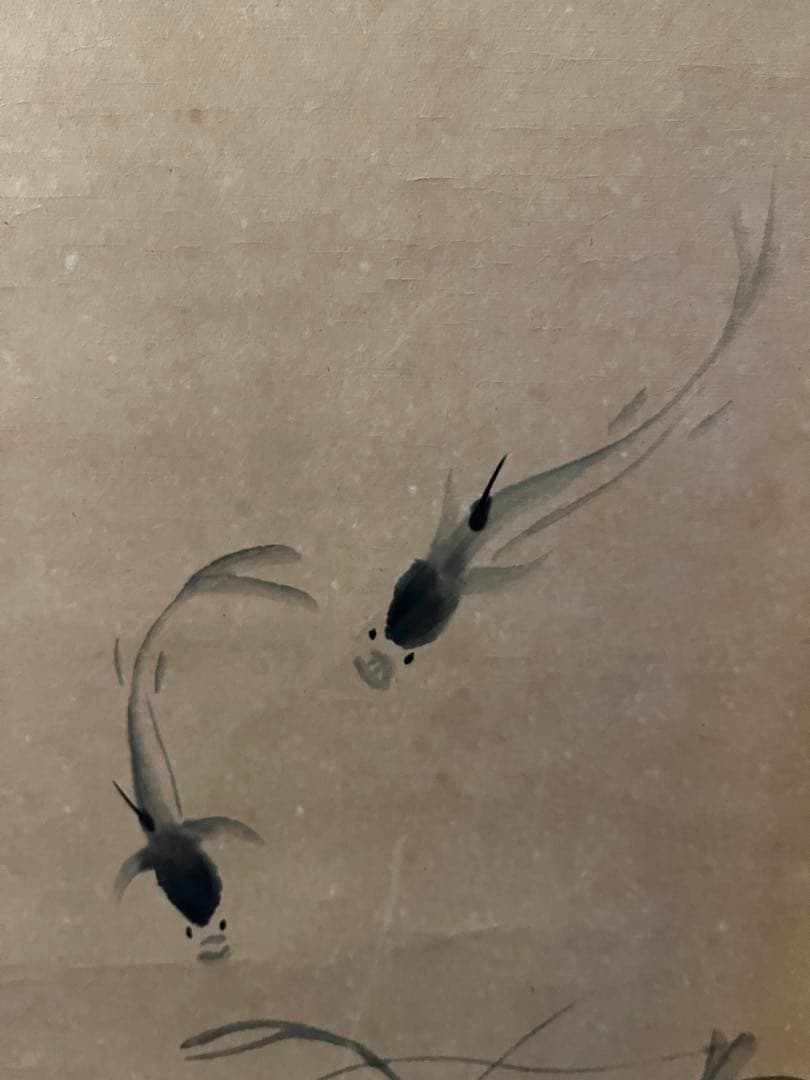 海*賊様 エビの水墨画 掛軸　　斎白石の息子